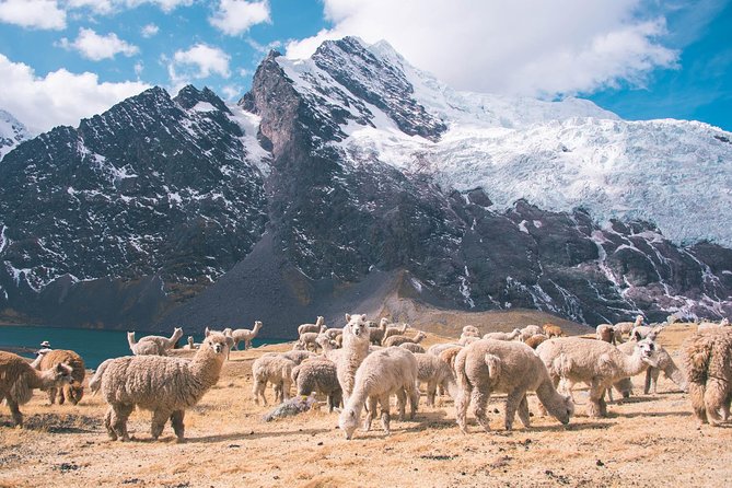 6 day Rainbow Mountain x Ausangate Trek - FlashpackerConnect - What the $1,050 price covers
