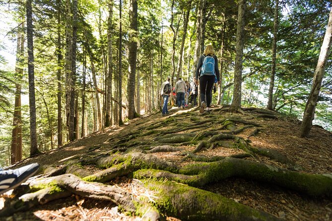 6 Day Tour - Trekking, Rafting, Jeep safari and Canyoning - Day four: the trail to Trnovačko Lake