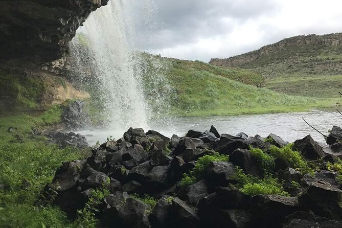 6 Days Bale Mountains Trekking - Day 3: Mararo Valley and Wasema at 3,900 meters