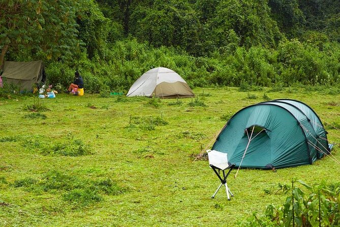 6 Days Bale Mountains Trekking - Day 4: Ancient volcanoes and Ice Age country