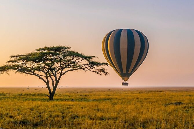 6 Days best adventure kilimanjaro ,Tarangire ,Serengeti &Ngorongoro crater - Day 2: The long road into the Serengeti