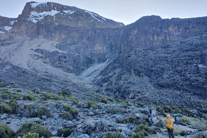 6 Days Climbing Mount Kilimanjaro Machame Route - Day 2: Shira Cave Camp and the end of the forest