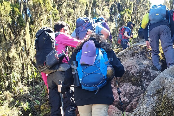 6 Days Climbing Mount Kilimanjaro Machame Route - What the $2,200 price covers
