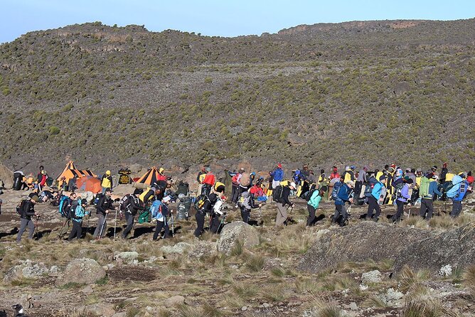 6 Days: Hiking Kilimanjaro via Machame Route - Day 6: Descending through rainforest to Mweka Gate