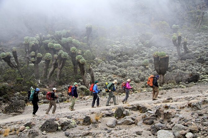 6 Days: Hiking Kilimanjaro via Machame Route - What the $1,950 price covers