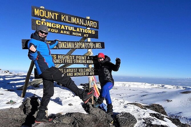6 Days Kilimanjaro Climbing Machame route - Day 6: descending through the cloud forest to Mweka Gate