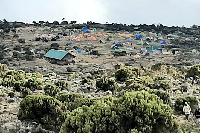 6 days Kilimanjaro Climbing Machame Route in Tanzania - Why Machame is worth the extra effort