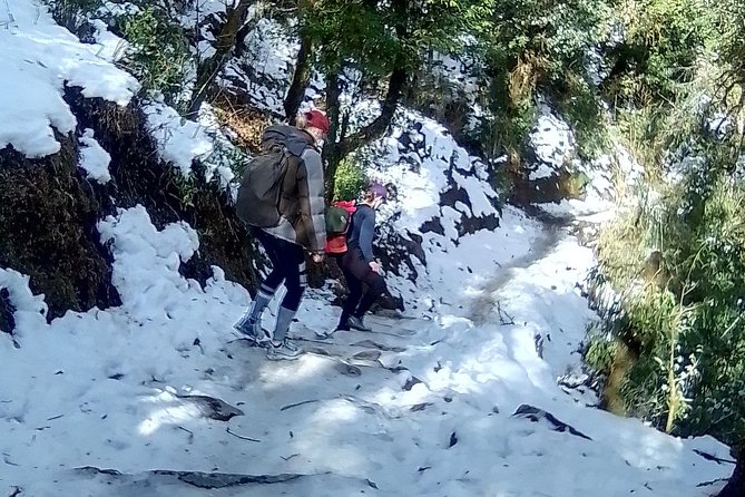 6 Days Poon Hill - Ghandruk Circuit Trek from Kathmandu - Key points to know before booking
