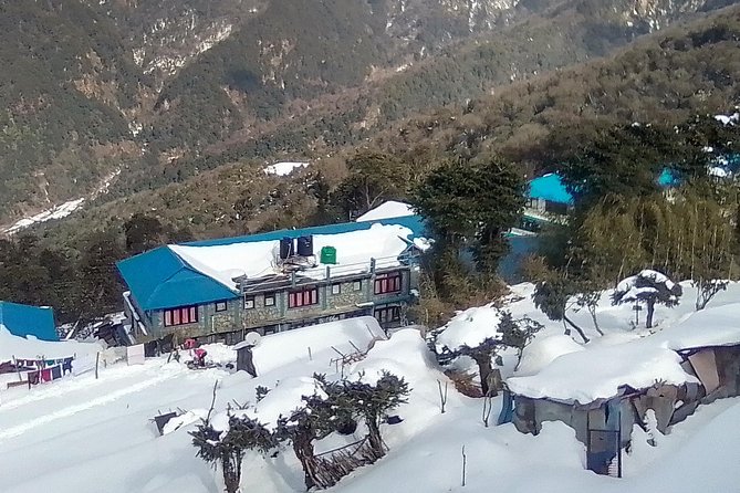 6 Days Poon Hill - Ghandruk Circuit Trek from Kathmandu - Day 4: The early climb to Poon Hill
