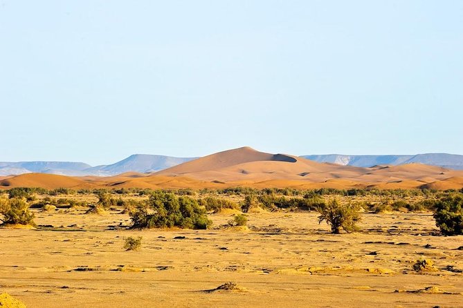 6 days trekking To The heart of Desert - Day 6: The long road back to Marrakech