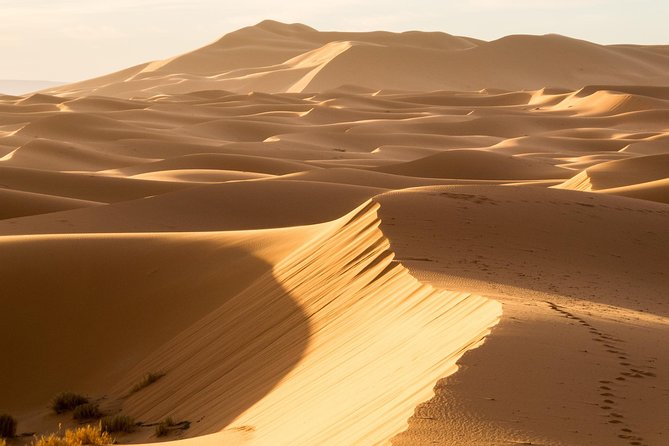 6 days trekking To The heart of Desert - The people and the private-tour feel