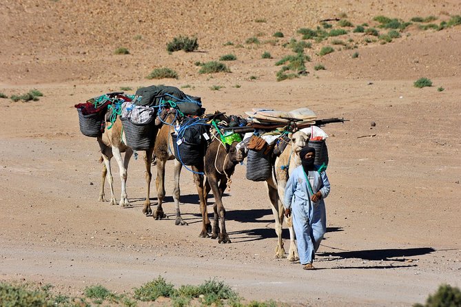 6 days trekking To The heart of Desert - Day 3: Reaching Erg Zahar and the best sunset