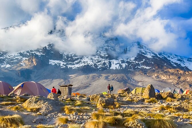 7 Day: Hiking Kilimanjaro via Lemosho Route - Day 3: Lava Tower and the Barranco Valley