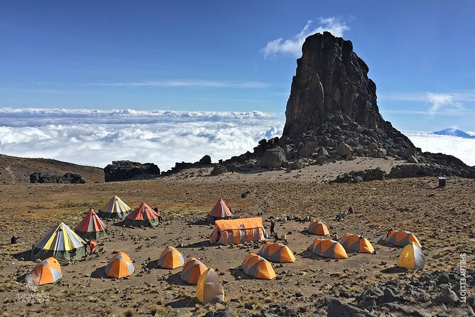 7 Day: Hiking Kilimanjaro via Lemosho Route - Day 6: Stella Point, Uhuru Peak, and the Long Descent