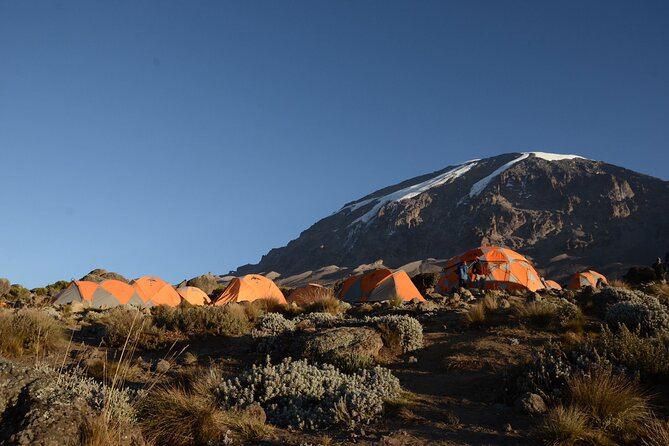 7-Day Kilimanjaro Hiking Tour via Machame Route - Key points at a glance
