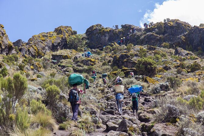 7-Day Kilimanjaro Hiking Tour via Machame Route - Day two: climbing toward Shira Camp