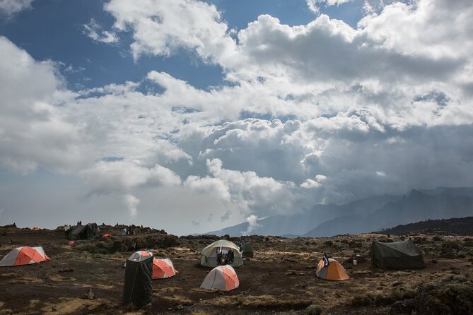 7-Day Machame Kilimanjaro Summit Tour from Arusha - Day 6: Stella Point, Uhuru Peak, and Mweka Camp