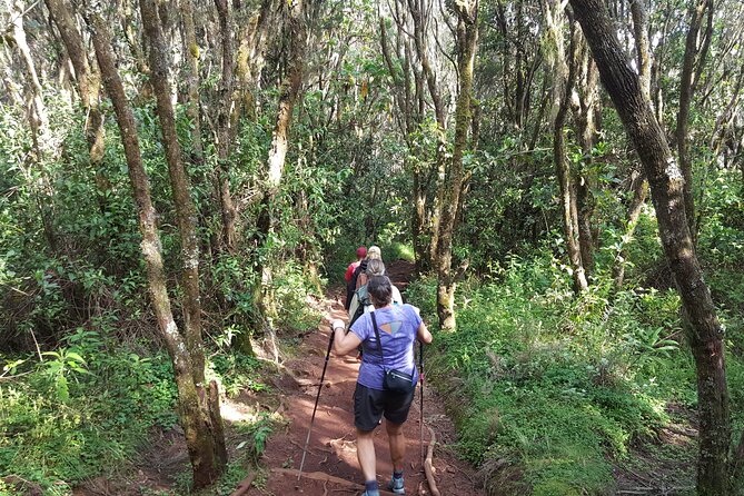 7-Day Mountain Climbing in Machame Route - Day 5: Barafu Camp and the final preparation