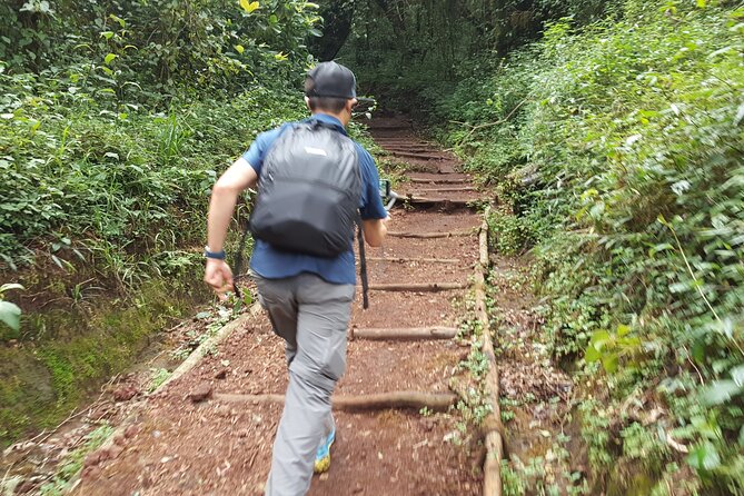 7-Day Mountain Climbing in Machame Route - Day 6: the midnight summit attempt
