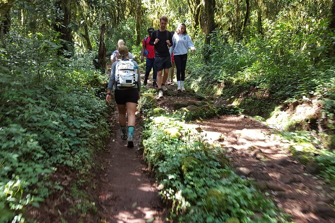 7-Day Mountain Climbing in Machame Route - Day 2: open moorland and the views from Shira Camp
