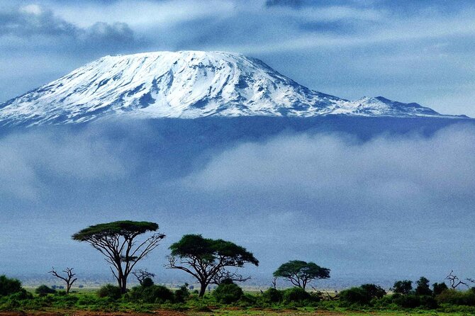 7-Day Mt. Kilimanjaro Hiking: Machame Route - Day one: muddy rainforest from Machame Gate