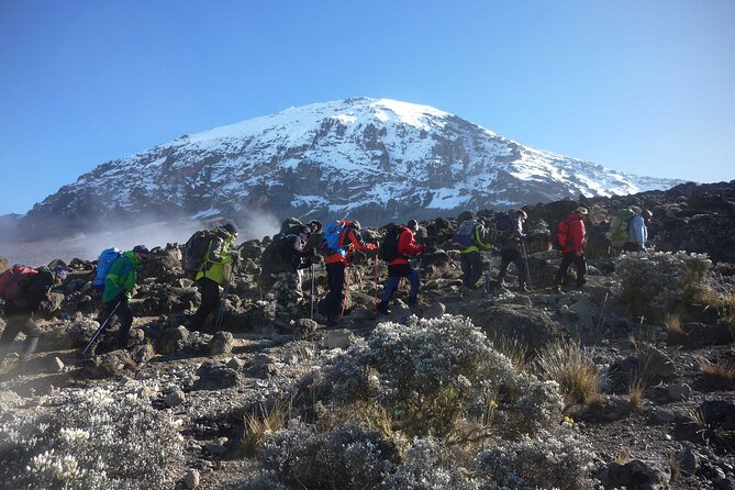 7-Day Mt. Kilimanjaro Hiking: Machame Route - Day three: Lava Tower and the first real altitude test