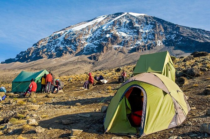 7-Day Mt. Kilimanjaro Hiking: Machame Route - Day four: the Barranco Wall and Karanga Valley