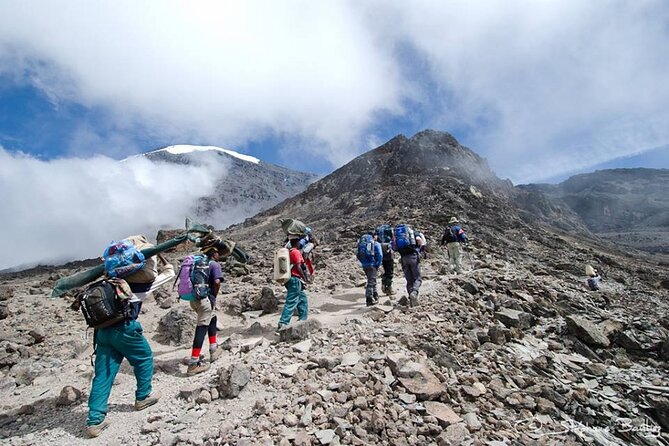 7-Day Mt. Kilimanjaro Hiking: Machame Route - Day seven: forest descent and the Mweka certificate