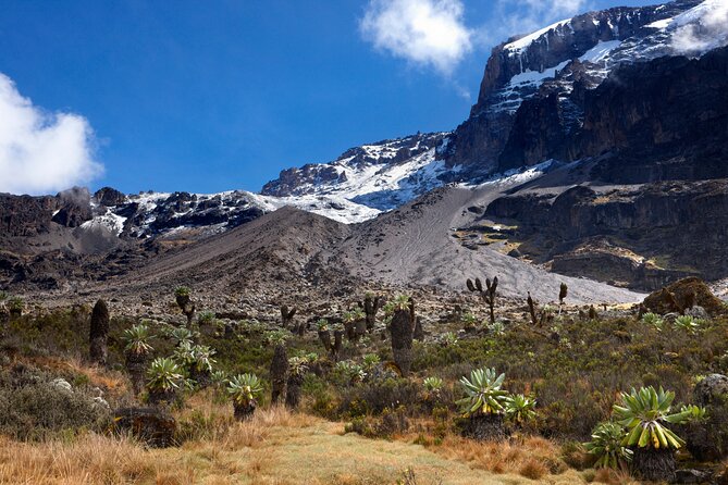 7-Day Private Kilimanjaro Hiking Tour via Machame from Arusha - Why the Machame Route works well in seven days