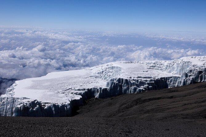 7-Day Private Kilimanjaro Hiking Tour via Machame from Arusha - Day seven: the forest descent and return to Arusha