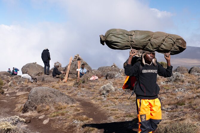 7-Day Private Kilimanjaro Hiking Tour via Machame from Arusha - Day two: Shira Plateau and the first big views