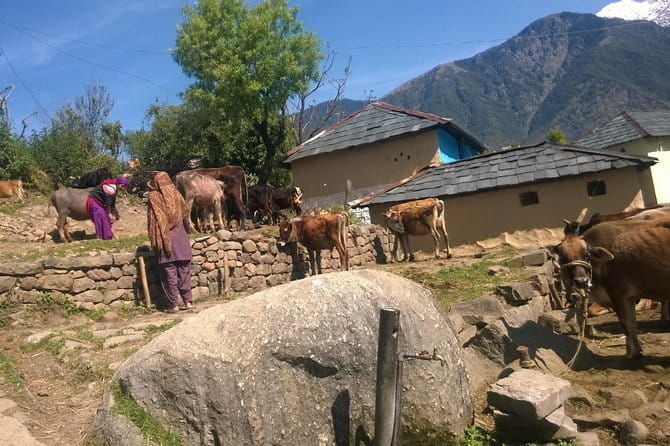 7 Days Dharamsala - Dalai Lama home Trek - Why this Dharamsala trek is different
