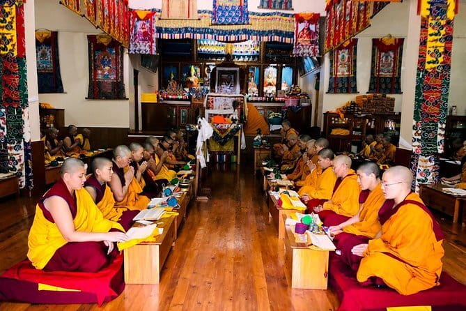 7 Days Dharamsala - Dalai Lama home Trek - Day 4: Forest walking and a local chai stop