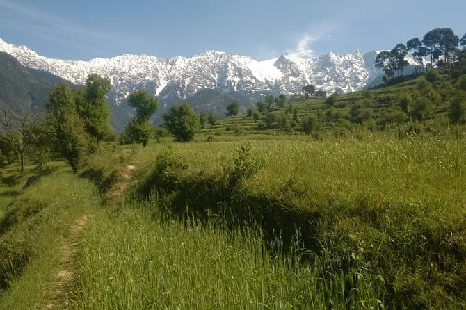 7 Days Dharamsala - Dalai Lama home Trek - Day 2: Satobari and the first night under canvas