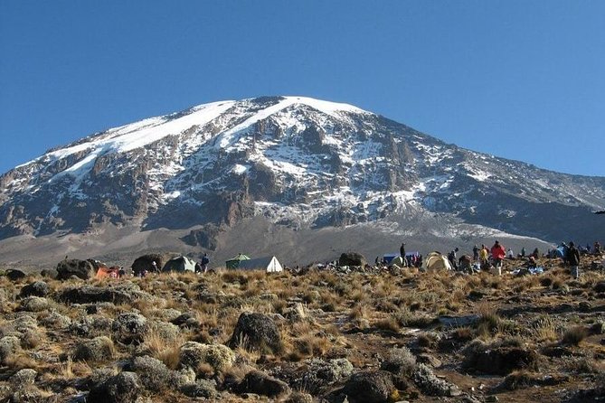 7 Days Kilimanjaro Climb Machame route - Day 4: Scrambling up Barranco Wall