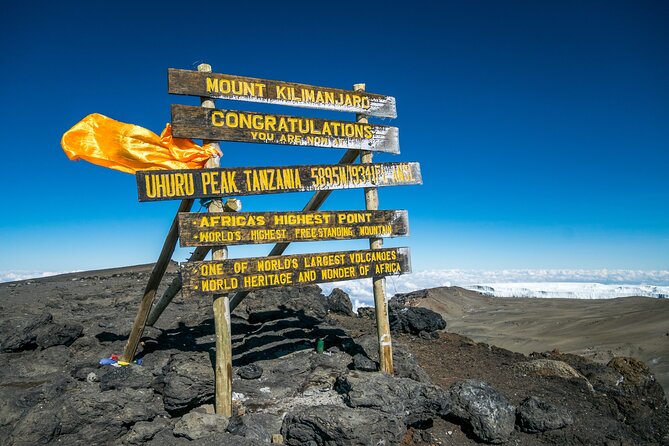 7 Days Kilimanjaro trek via Machame route - Day 1: Machame Gate and the mossy cloud forest