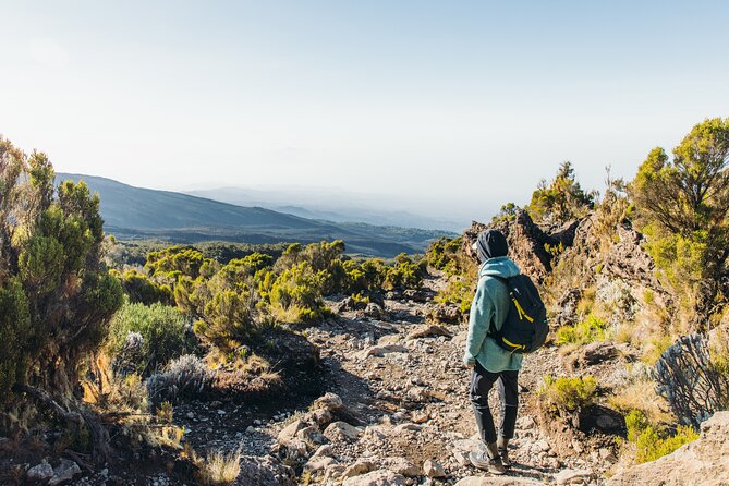 7 Days Kilimanjaro trek via Machame route - Day 6: Stella Point, Uhuru Peak, and the long descent