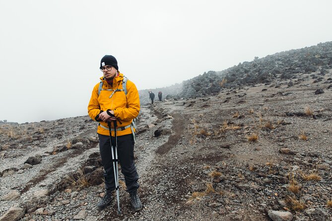 7 Days Kilimanjaro trek via Machame route - Day 7: Forest descent to Mweka Gate