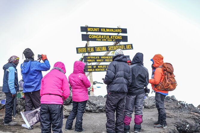 7 Days Kilimanjaro trek via Machame route - Day 2: Shira Plateau and the first altitude changes