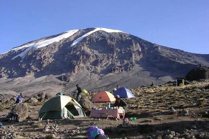 7 Days Kilimanjaro Trekking Machame Route with Professional Guide - Day 3: giant heather and the Shira Plateau