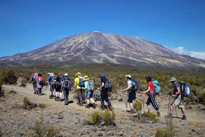 7 Days Kilimanjaro Trekking Machame Route with Professional Guide - Day 5: the Barranco Wall and Karanga Camp
