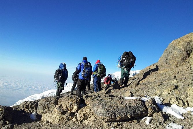 7 Days Kilimanjaro Trekking Machame Route with Professional Guide - Day 2: rainforest from Machame Gate to Machame Camp