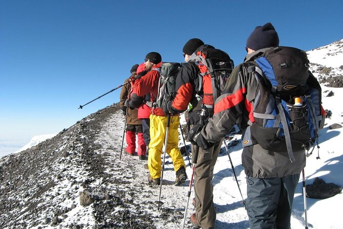 7 Days Kilimanjaro via Machame route affordable price - Day 6: Descent through wet forest and the return to Moshi