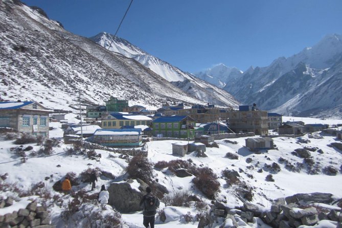 7 Days Langtang Valley Private Trek From Kathmandu - Day 1: Airport pickup and a night in Kathmandu