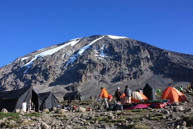 7 Days Machame Route Kilimanjaro Trekking - Key points to know before booking