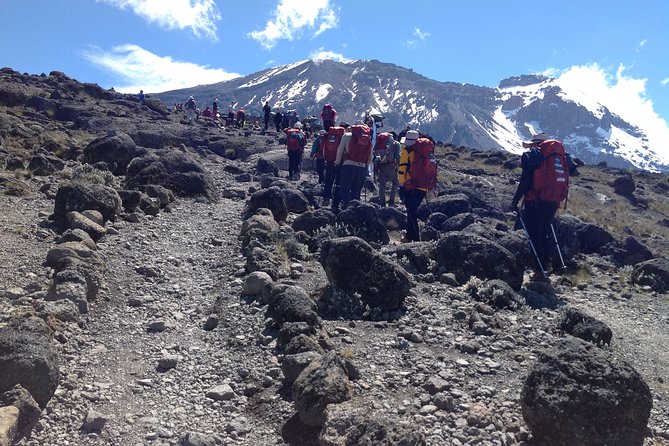 7 days_Mount kilimanjaro Hiking Lemosho Route - Why the seven-day Lemosho Route makes sense