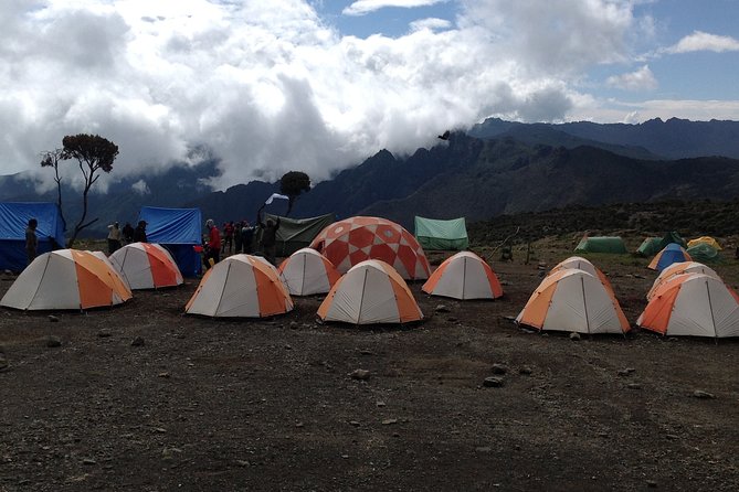 7 days_Mount kilimanjaro Hiking Lemosho Route - Day 3: Shira Plateau and Moir Hut