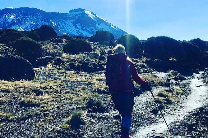 7 Days Mount Kilimanjaro Machame Route - Day 1: Machame Gate to the rainforest