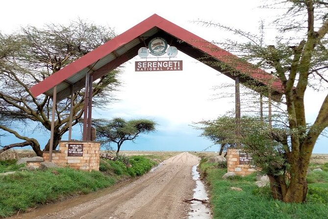 7 days Mt Kilimanjaro,Tarangire NP, Ngorongoro, Serengeti NP, Lake Manyara NP - A big Tanzania sampler from Arusha