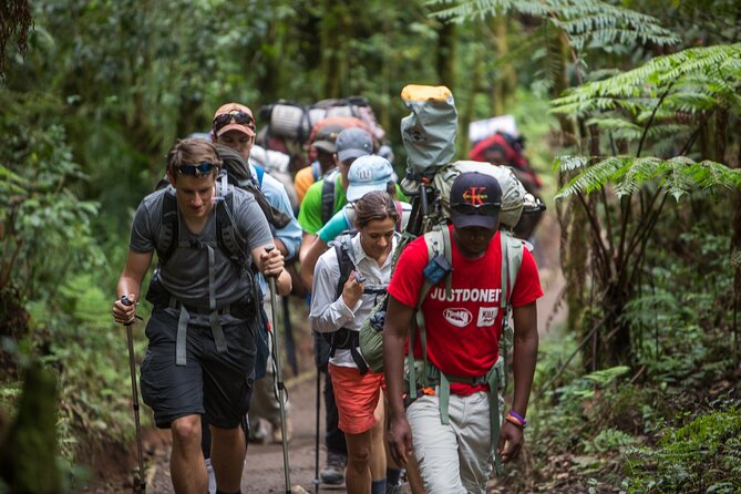 8-Day Small-group Lemosho Kilimanjaro Summit Trekking - Day 5: Up the Barranco Wall to Karanga
